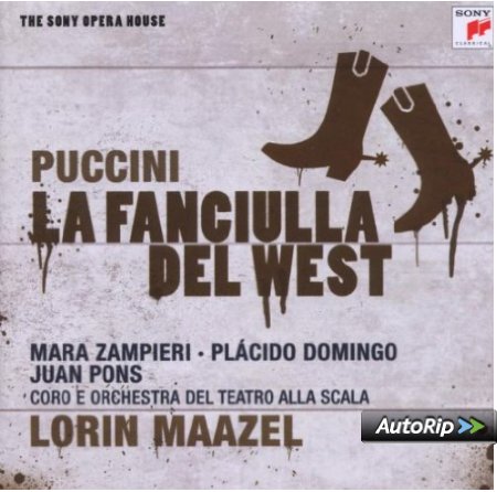 51sqvMSHdsL._SX450__PJautoripBadge,BottomRight,4,-40_OU11__