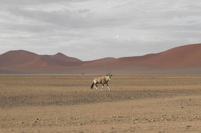 12401707_10153784353478194_1009146949676154720_o