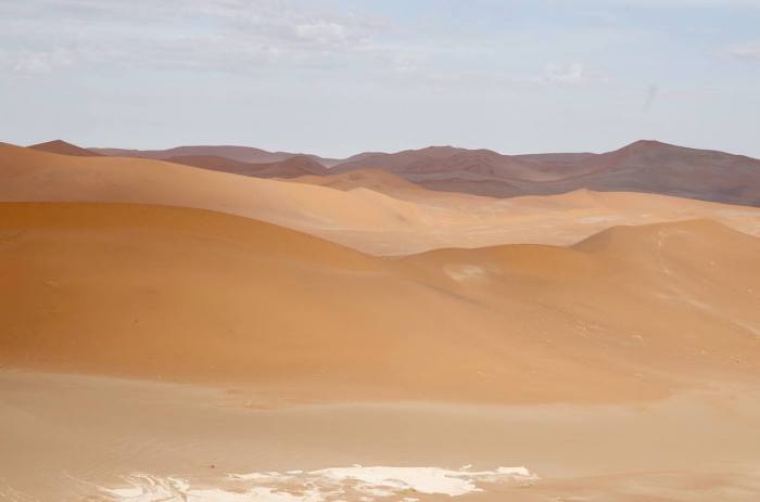 886371_10153784393413194_7935538166260476110_o