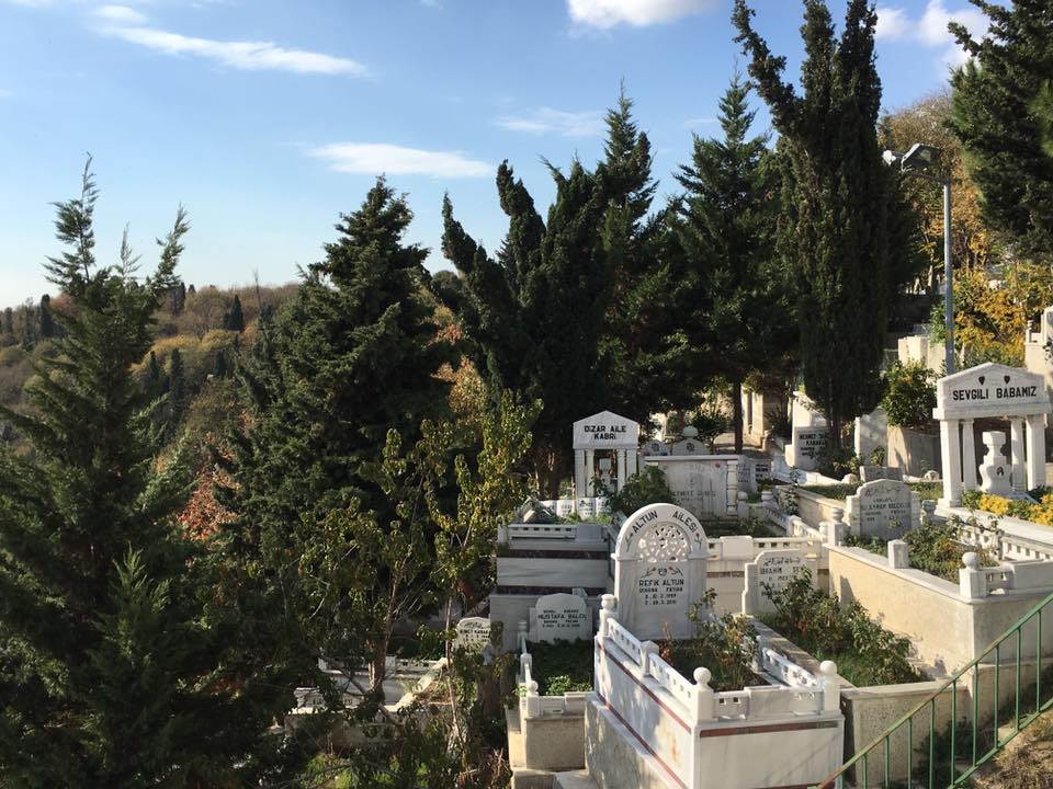 14900552_10154072917452602_949219708023908535_n