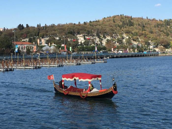 14915579_10154072913432602_7729926918972679930_n