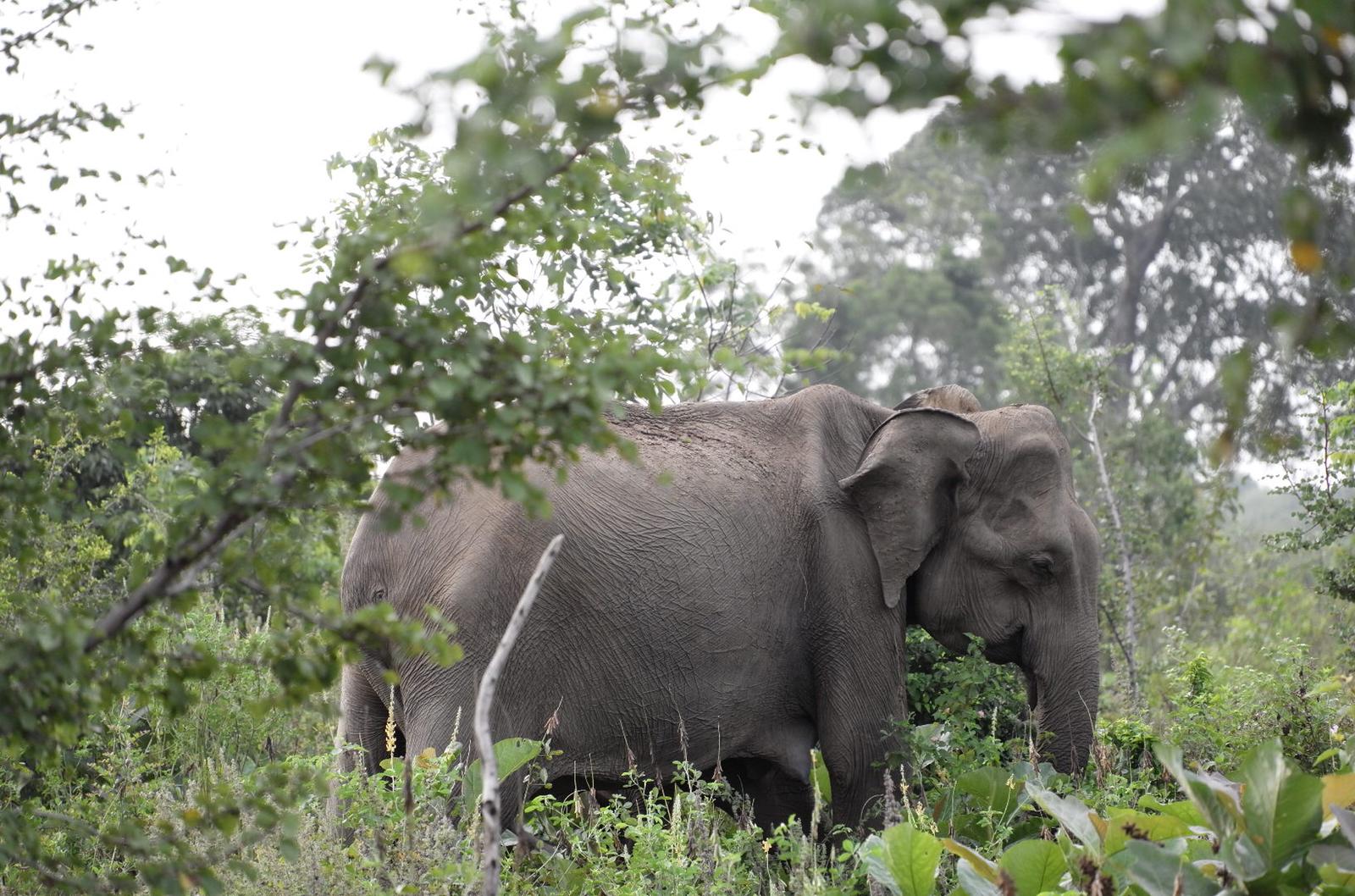 68b4bd5f-96f7-4058-9aa4-b030f5a67d2c