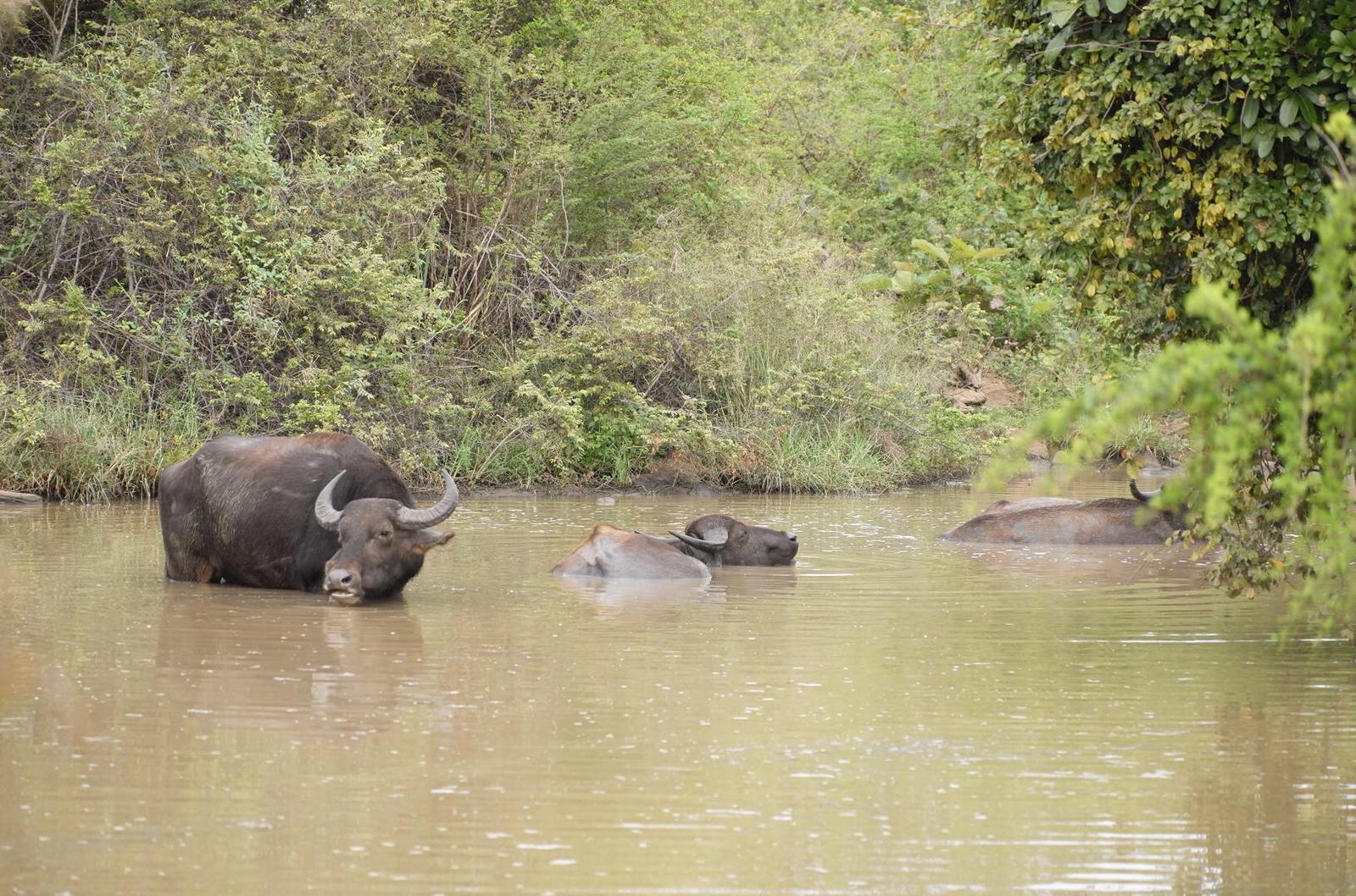 945c72e6-bbba-4d92-bef6-5928ff2fdac6