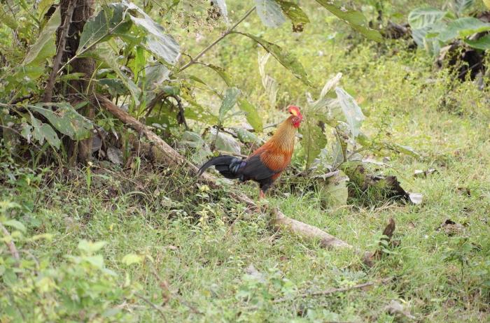 d0ad8054-80e4-4d8d-83ae-1613e63e007e