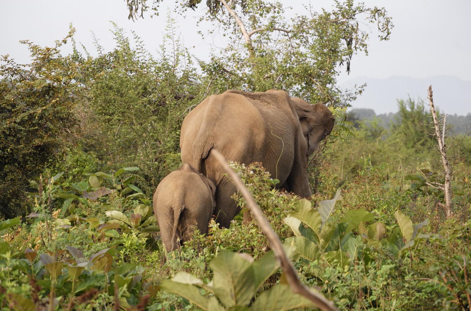 de35cebd-c216-43e3-8ea0-e2efdf135790